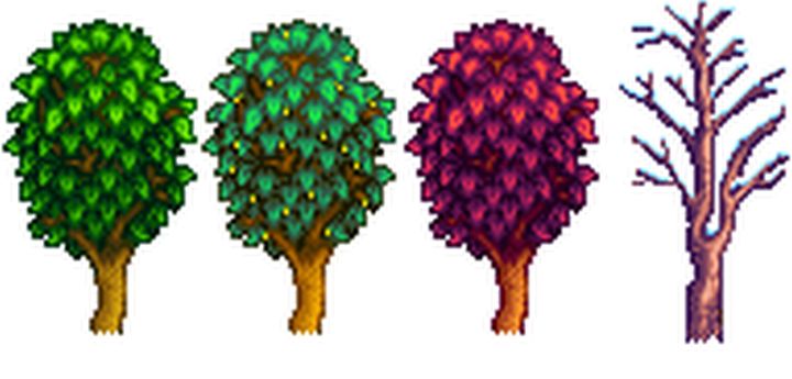 A Maple tree in all four seasons of Stardew Valley