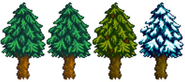A Pine tree in all four seasons - spring, summer, fall, and winter