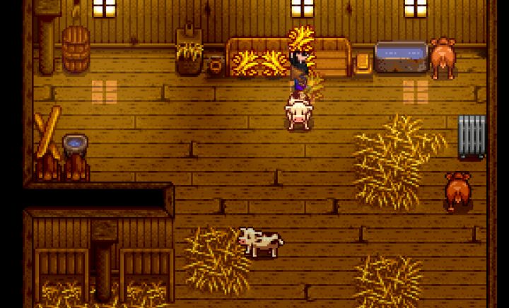 heaters in stardew valley - what do they do