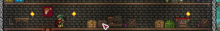 Valid housing in Terraria