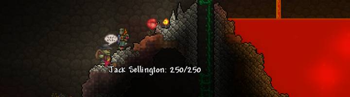 Terraria Npc List Move In Requirements