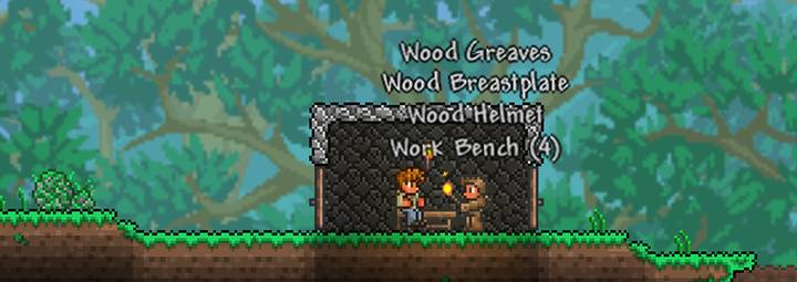 A set of Wood Armor helps prevent some damage to your character and looks better than clothes.