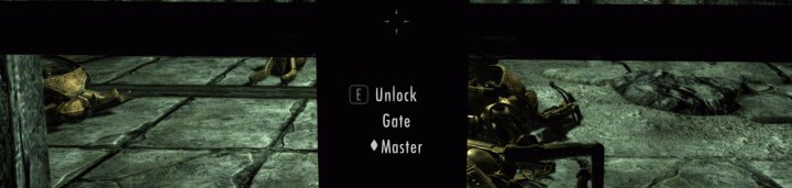 A master-level locked gate in Skyrim