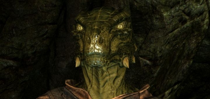 Skyrim's Argonian Race