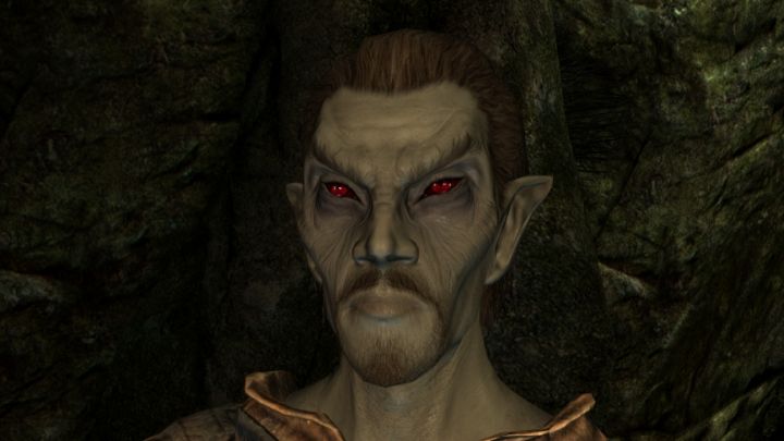 Skyrim's Dark Elf Race