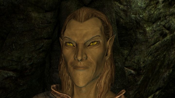 Skyrim's High Elf Race