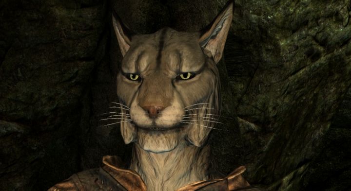 Skyrim's Khajiit Race