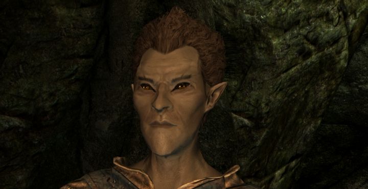 Skyrim's Wood Elf Race