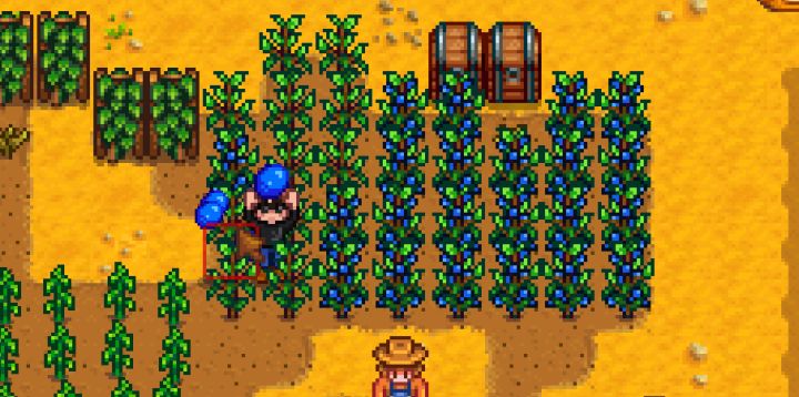 Stardew Valley Farming