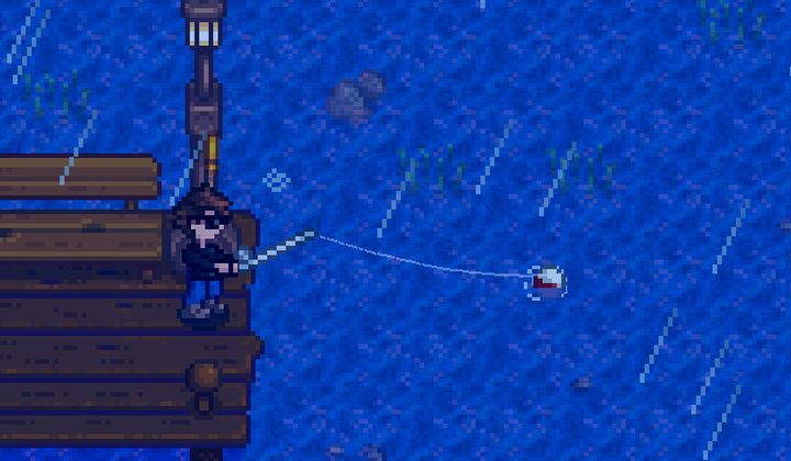 Stardew Valley Fishing Guide: How to Catch Every Fish, Catchable