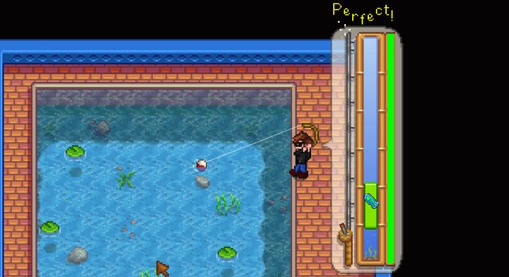 Stardew Valley: Where and Why You Should Fish – Students of the