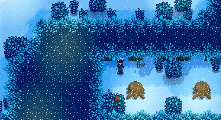Stardew Valley Secret Woods Hardwood Stardrop And Fish