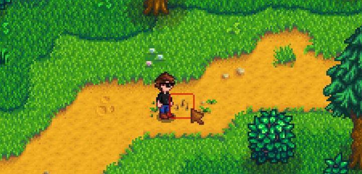 Stardew Valley Tips