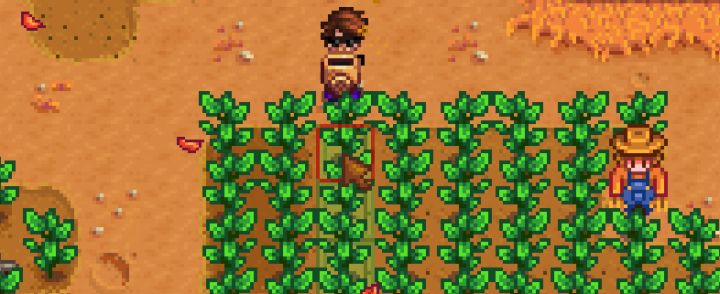 Stardew Valley Watering Can Upgrade