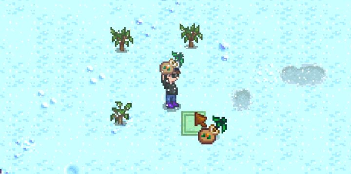 Stardew oak trees empty spage